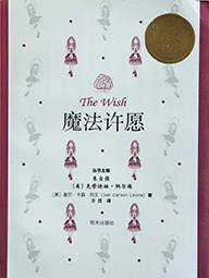 The Wish China Cover