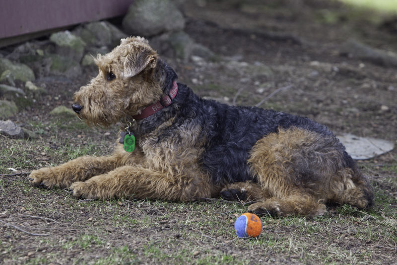 Reggie on June 19, 2011